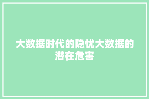 大数据时代的隐忧大数据的潜在危害