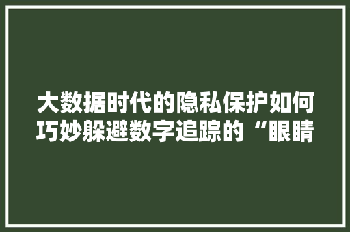大数据时代的隐私保护如何巧妙躲避数字追踪的“眼睛”