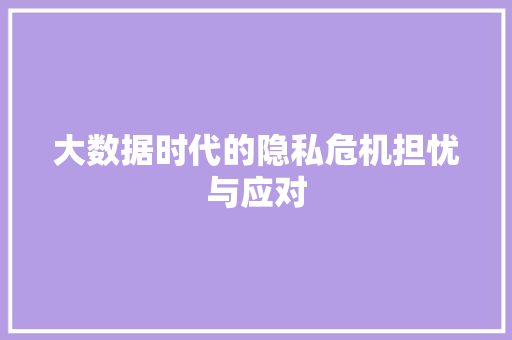 大数据时代的隐私危机担忧与应对