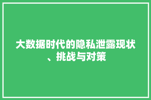 大数据时代的隐私泄露现状、挑战与对策