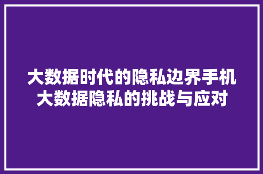大数据时代的隐私边界手机大数据隐私的挑战与应对
