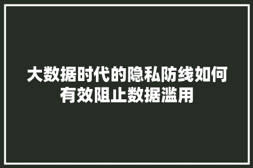 大数据时代的隐私防线如何有效阻止数据滥用
