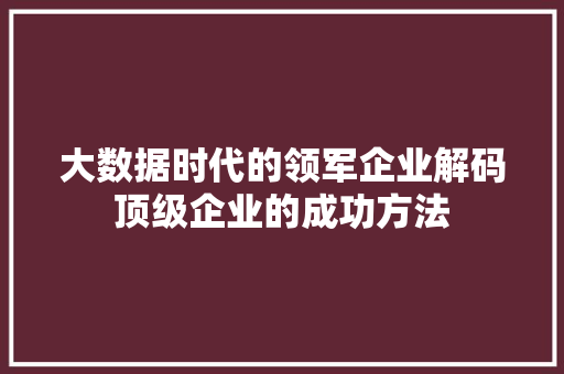 大数据时代的领军企业解码顶级企业的成功方法
