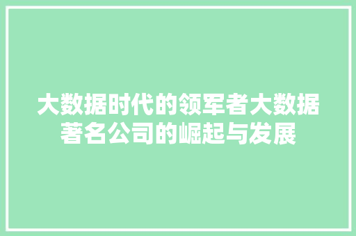 大数据时代的领军者大数据著名公司的崛起与发展