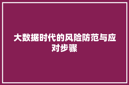 大数据时代的风险防范与应对步骤