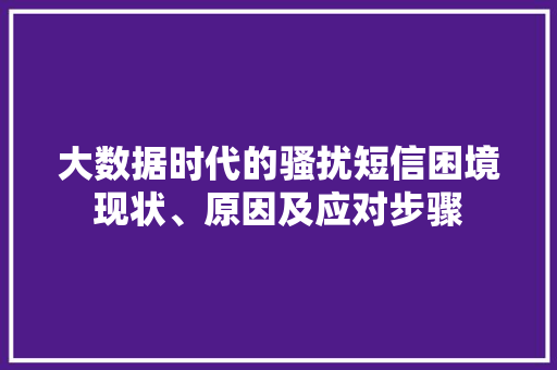 大数据时代的骚扰短信困境现状、原因及应对步骤