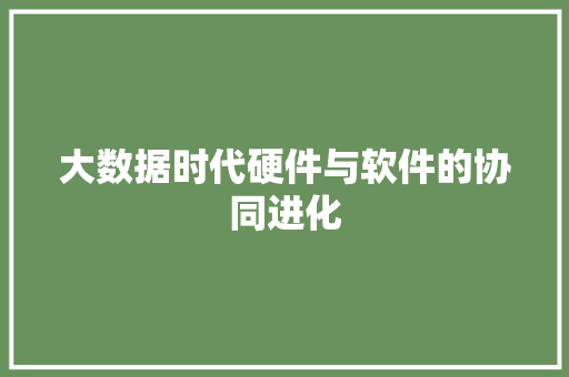 大数据时代硬件与软件的协同进化