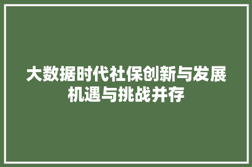 大数据时代社保创新与发展机遇与挑战并存