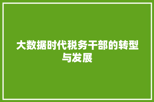 大数据时代税务干部的转型与发展