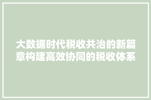 大数据时代税收共治的新篇章构建高效协同的税收体系