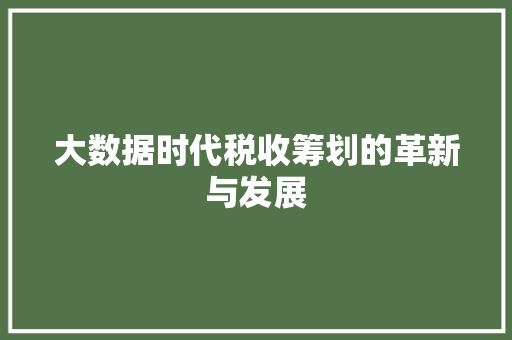 大数据时代税收筹划的革新与发展