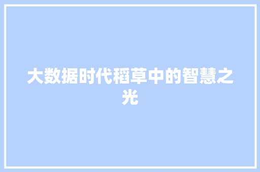 大数据时代稻草中的智慧之光