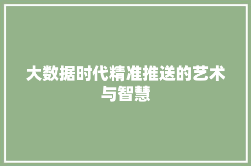 大数据时代精准推送的艺术与智慧