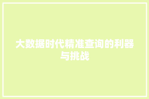 大数据时代精准查询的利器与挑战