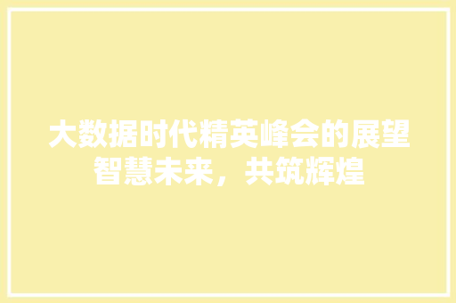 大数据时代精英峰会的展望智慧未来，共筑辉煌
