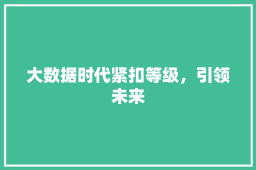 大数据时代紧扣等级，引领未来