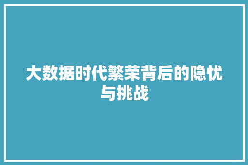 大数据时代繁荣背后的隐忧与挑战