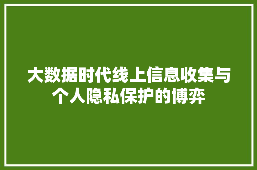 大数据时代线上信息收集与个人隐私保护的博弈