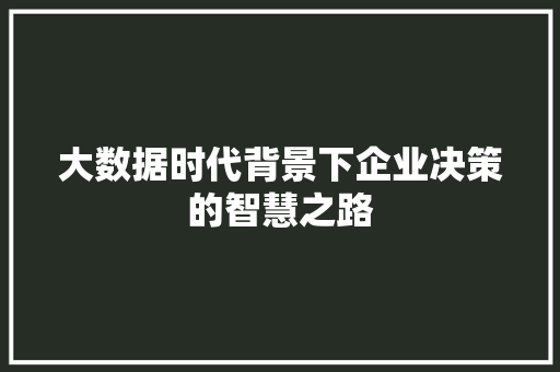 大数据时代背景下企业决策的智慧之路