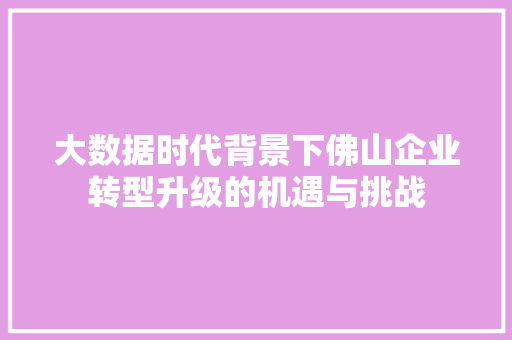 大数据时代背景下佛山企业转型升级的机遇与挑战
