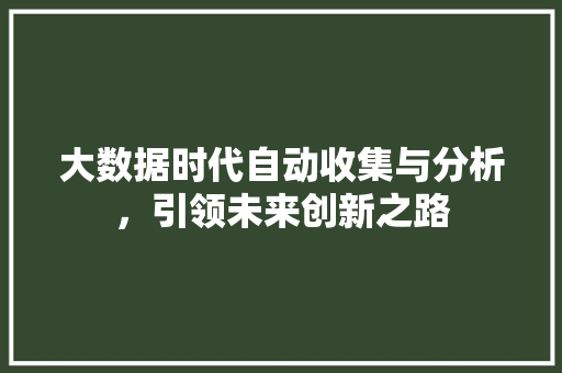 大数据时代自动收集与分析，引领未来创新之路