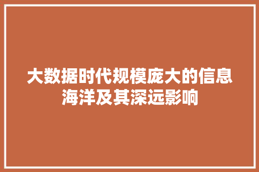 大数据时代规模庞大的信息海洋及其深远影响