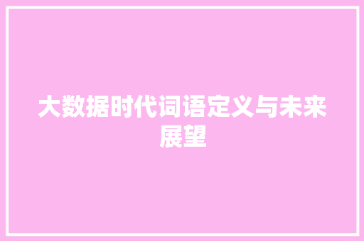 大数据时代词语定义与未来展望