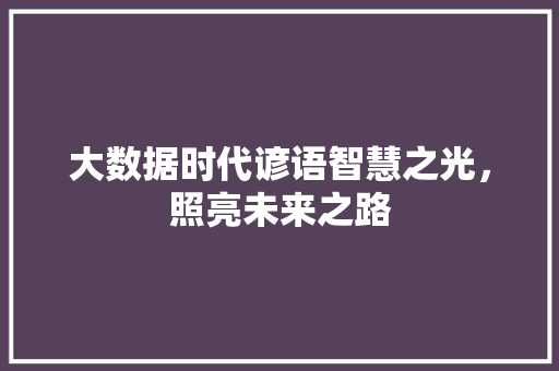 大数据时代谚语智慧之光，照亮未来之路