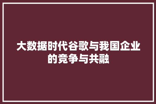 大数据时代谷歌与我国企业的竞争与共融