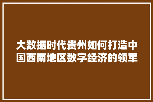 大数据时代贵州如何打造中国西南地区数字经济的领军者