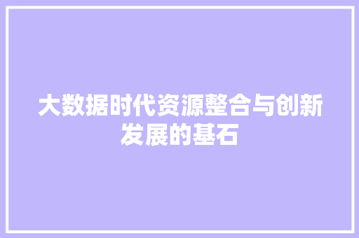 大数据时代资源整合与创新发展的基石
