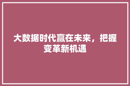 大数据时代赢在未来，把握变革新机遇