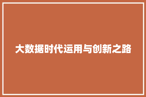 大数据时代运用与创新之路 SEO教程