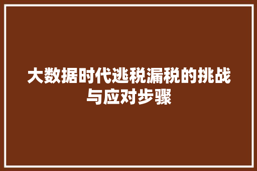 大数据时代逃税漏税的挑战与应对步骤 服务器/数据库