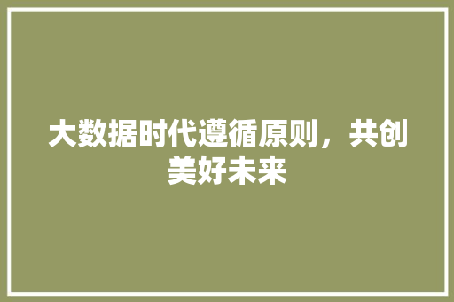 大数据时代遵循原则，共创美好未来 友链在线