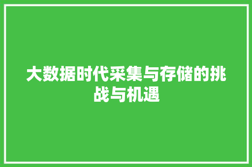 大数据时代采集与存储的挑战与机遇 SEO教程