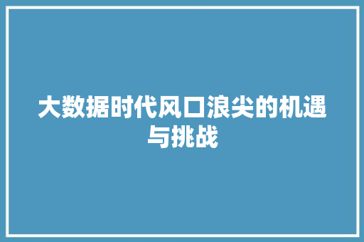 大数据时代风口浪尖的机遇与挑战