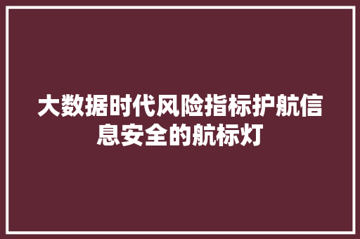 大数据时代风险指标护航信息安全的航标灯
