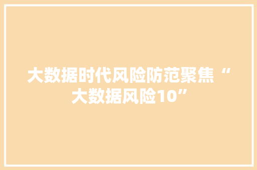 大数据时代风险防范聚焦“大数据风险10”