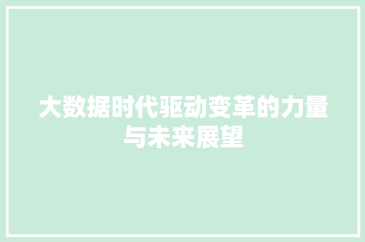 大数据时代驱动变革的力量与未来展望