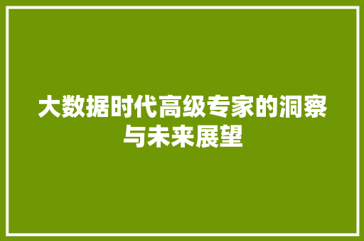 大数据时代高级专家的洞察与未来展望