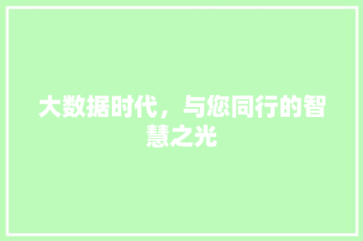 大数据时代，与您同行的智慧之光