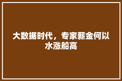 大数据时代，专家薪金何以水涨船高