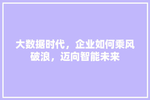大数据时代，企业如何乘风破浪，迈向智能未来