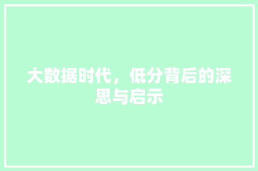 大数据时代，低分背后的深思与启示