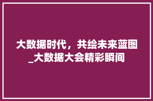大数据时代，共绘未来蓝图_大数据大会精彩瞬间