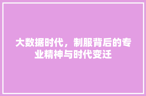 大数据时代，制服背后的专业精神与时代变迁