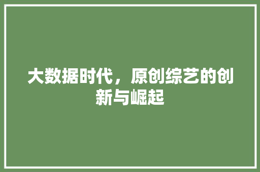 大数据时代，原创综艺的创新与崛起
