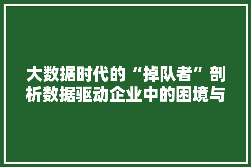 大数据时代的“掉队者”剖析数据驱动企业中的困境与转型之路
