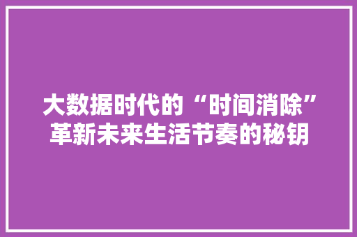 大数据时代的“时间消除”革新未来生活节奏的秘钥